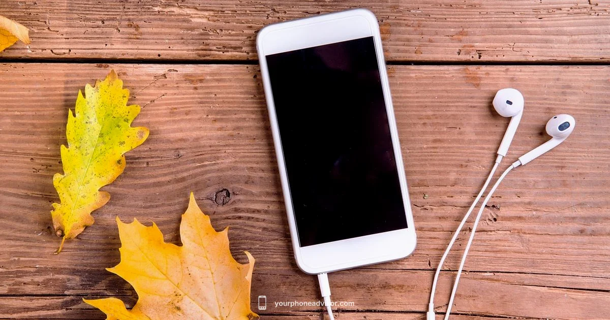 Phone Insurance Essentials - Your Phone Advisor