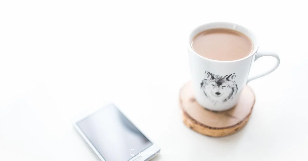 Top Picks 2026 Top Picks 2026 - Your Phone Advisor