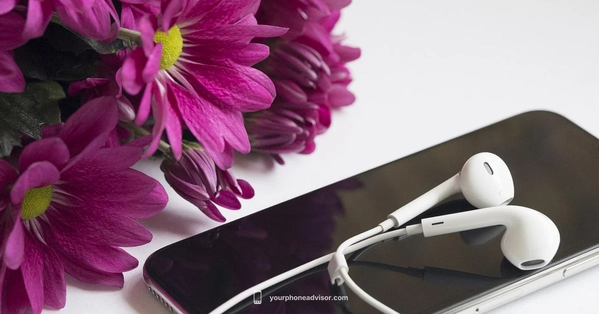 Latest iPhone Overview - Your Phone Advisor