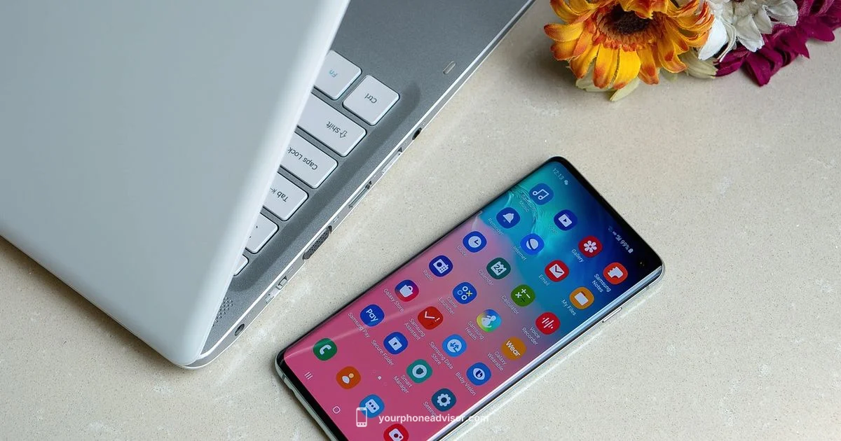 Samsung S Series in Focus - Your Phone Advisor
