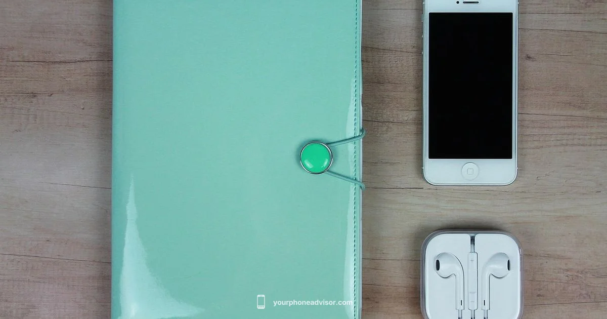 Bow Case Guide - Your Phone Advisor