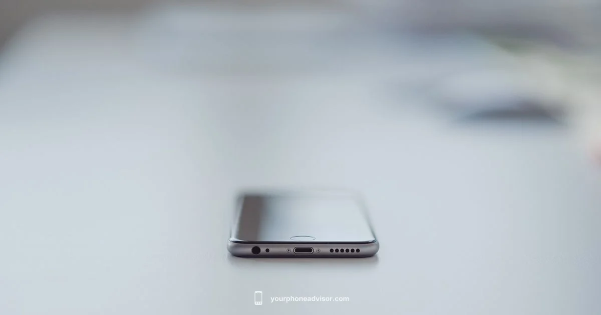 Phone Scan Guide Phone Scan Guide - Your Phone Advisor