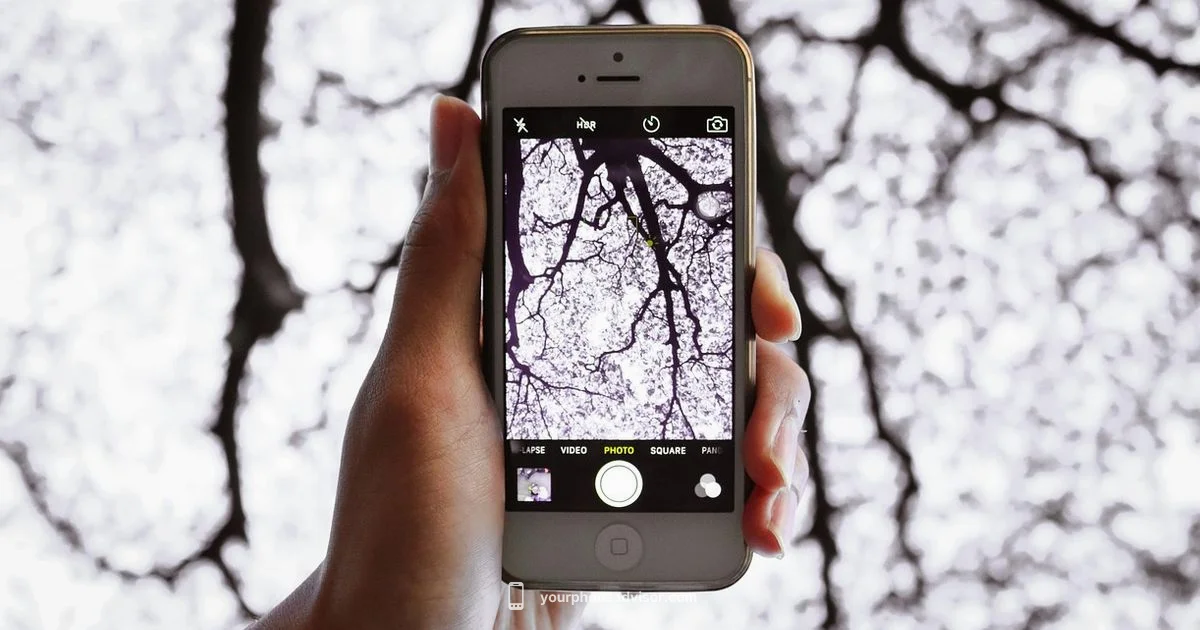 iPhone Waterproofing Basics - Your Phone Advisor