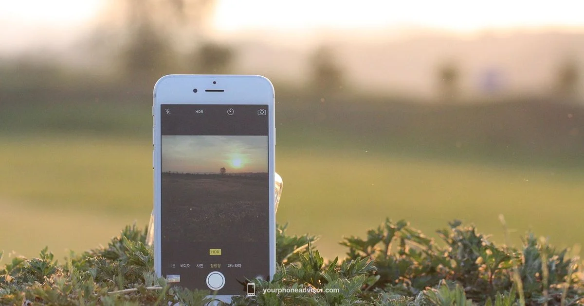 Wet Phone Guide Wet Phone Guide - Your Phone Advisor