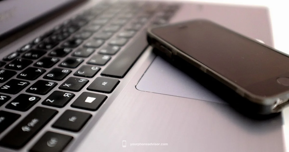 No-Charge Lookup Guide - Your Phone Advisor