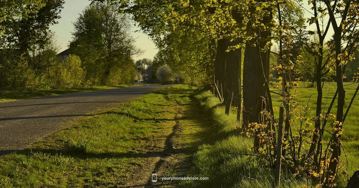 Regional Help Line - Your Phone Advisor