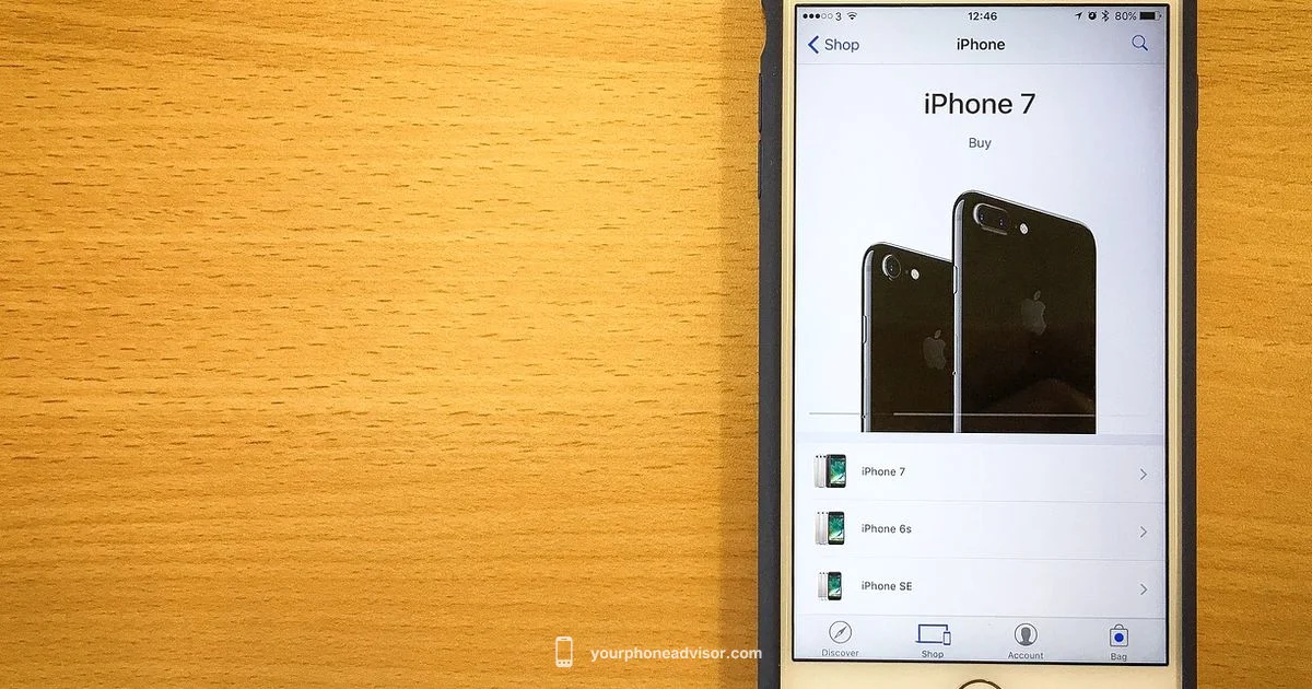 iPhone 17 Cases - Your Phone Advisor