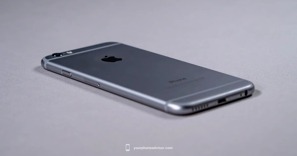 My Number Guide - Your Phone Advisor