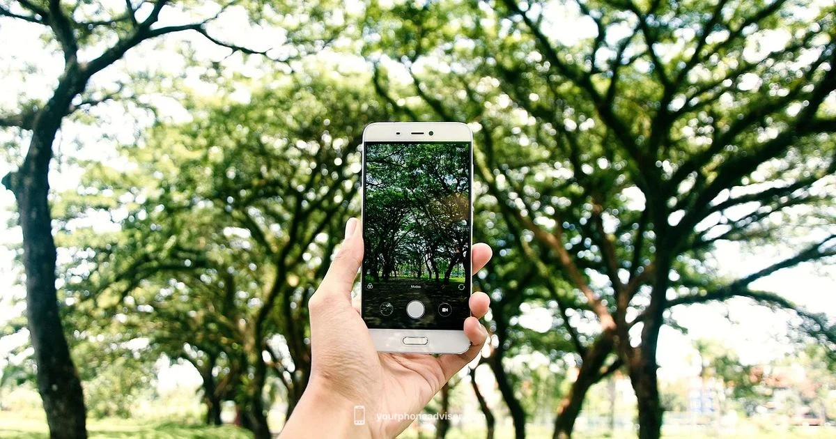Cricket Network Basics - Your Phone Advisor