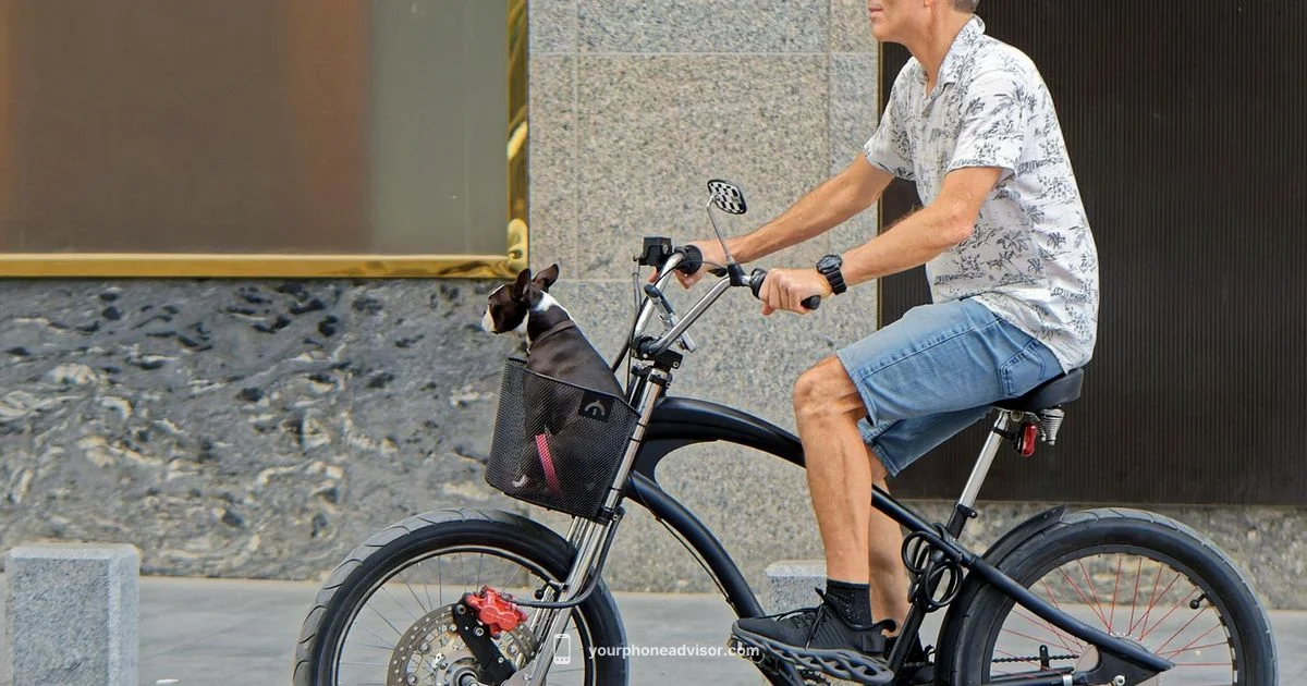 Bike Phone Mount - Your Phone Advisor