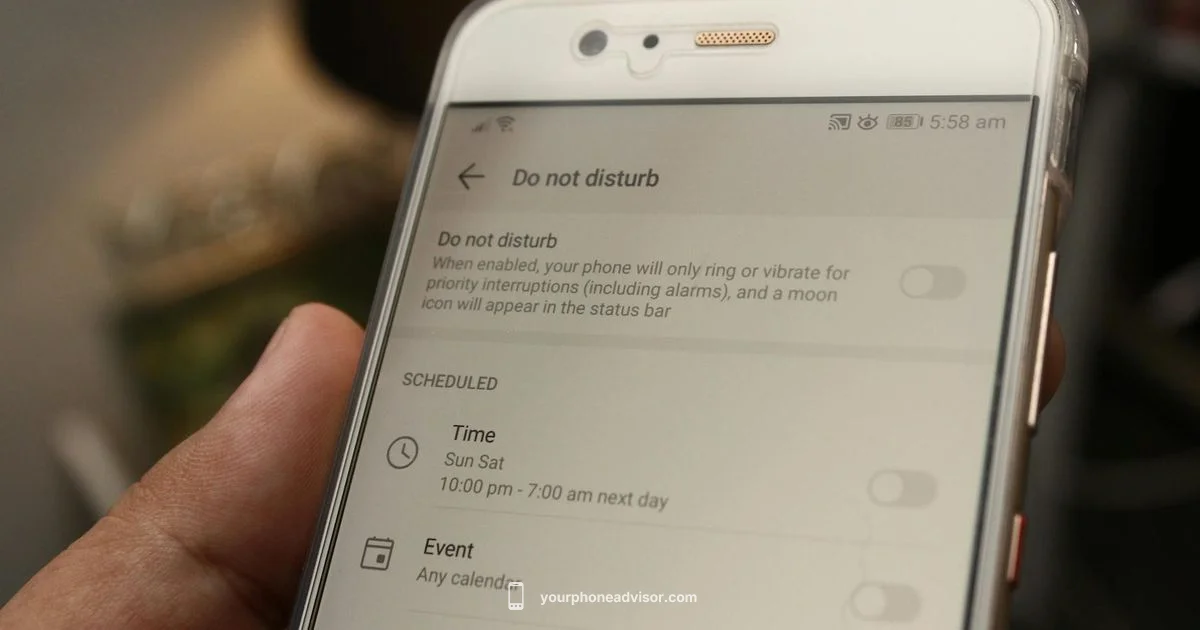 DND Overview - Your Phone Advisor