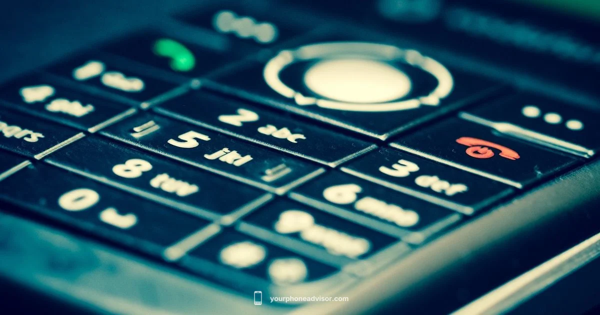 Number Lookup Basics - Your Phone Advisor