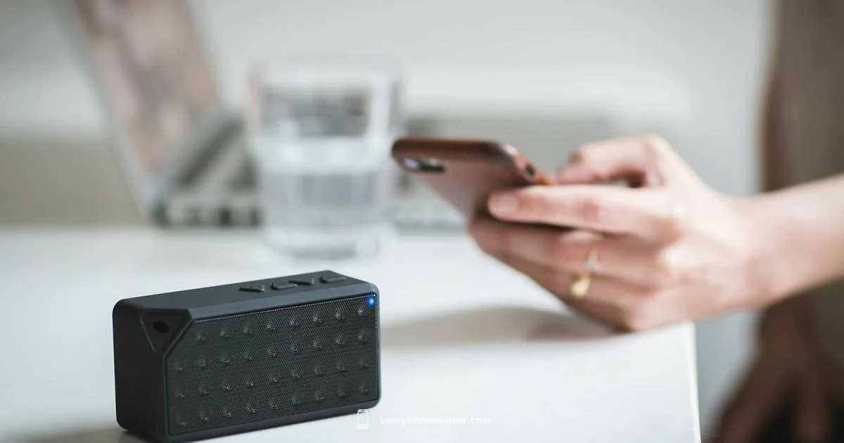 Who Is This Number Who Is This Number - Your Phone Advisor