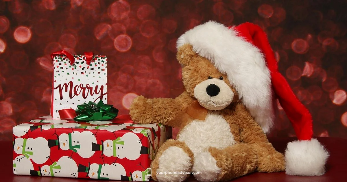 Santa Phone Guide - Your Phone Advisor