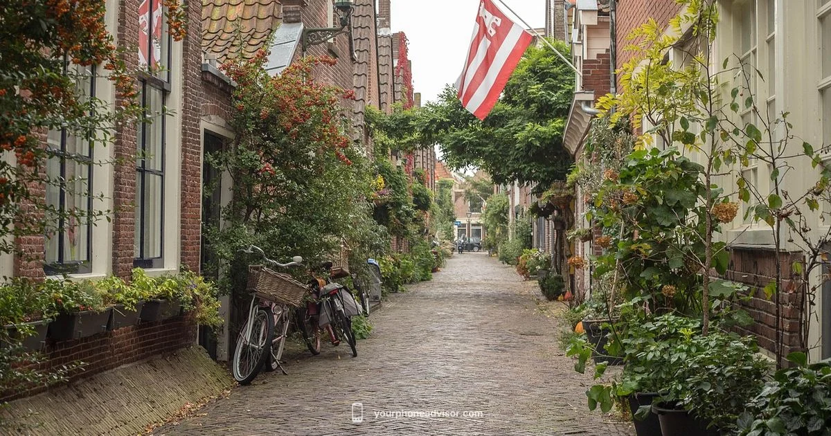 Phone Like Camera - Your Phone Advisor