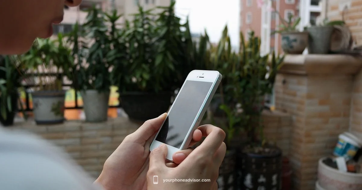 Phone Transfer Guide - Your Phone Advisor
