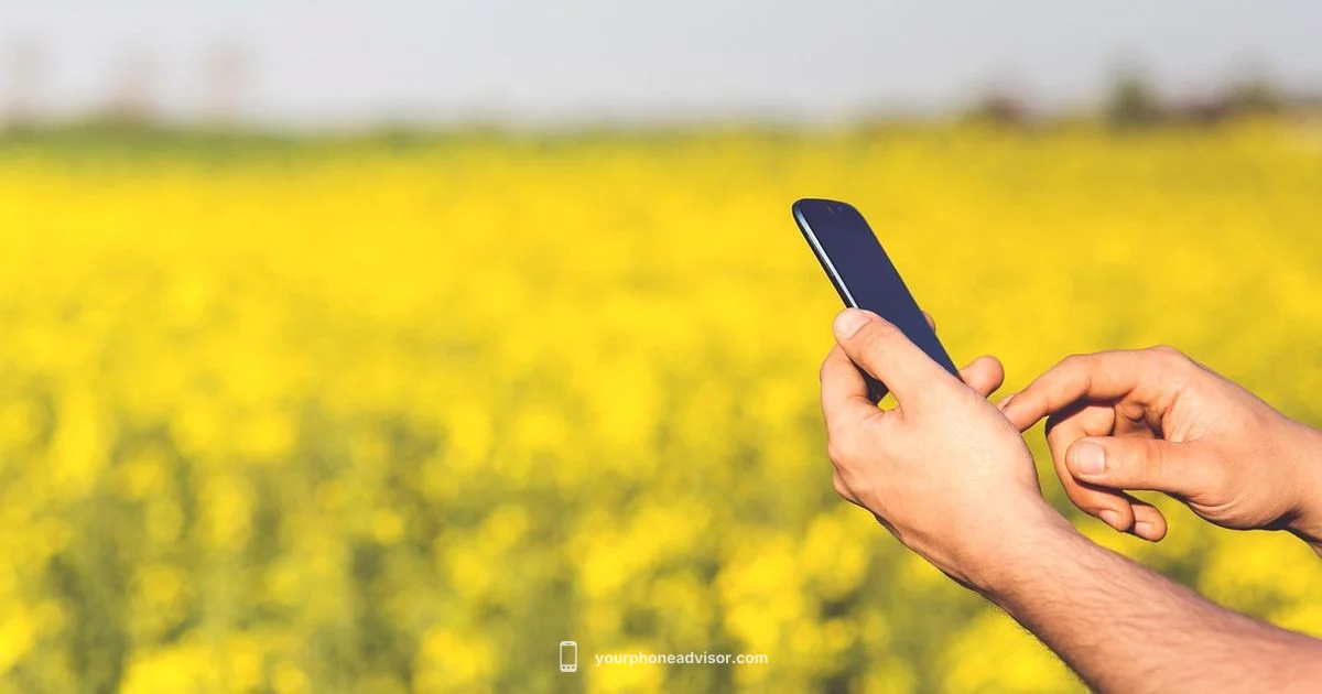 Need Phone Number Guide - Your Phone Advisor