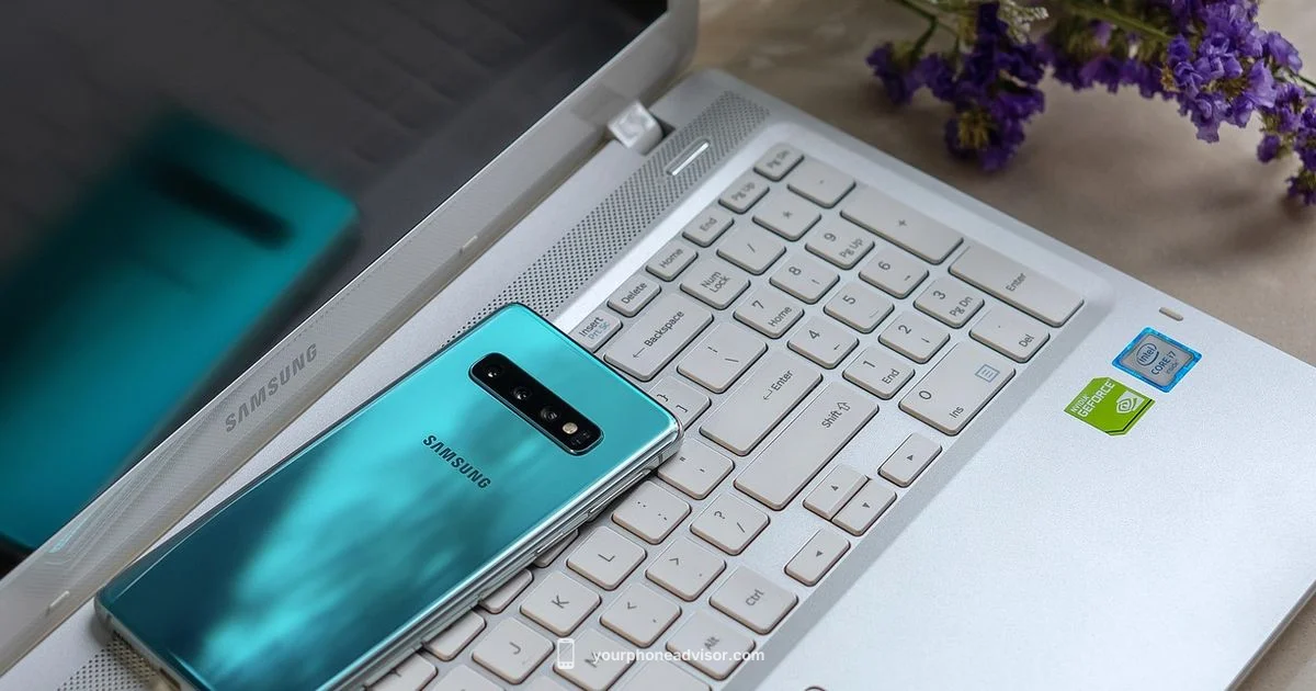 Local Accessory Finds - Your Phone Advisor
