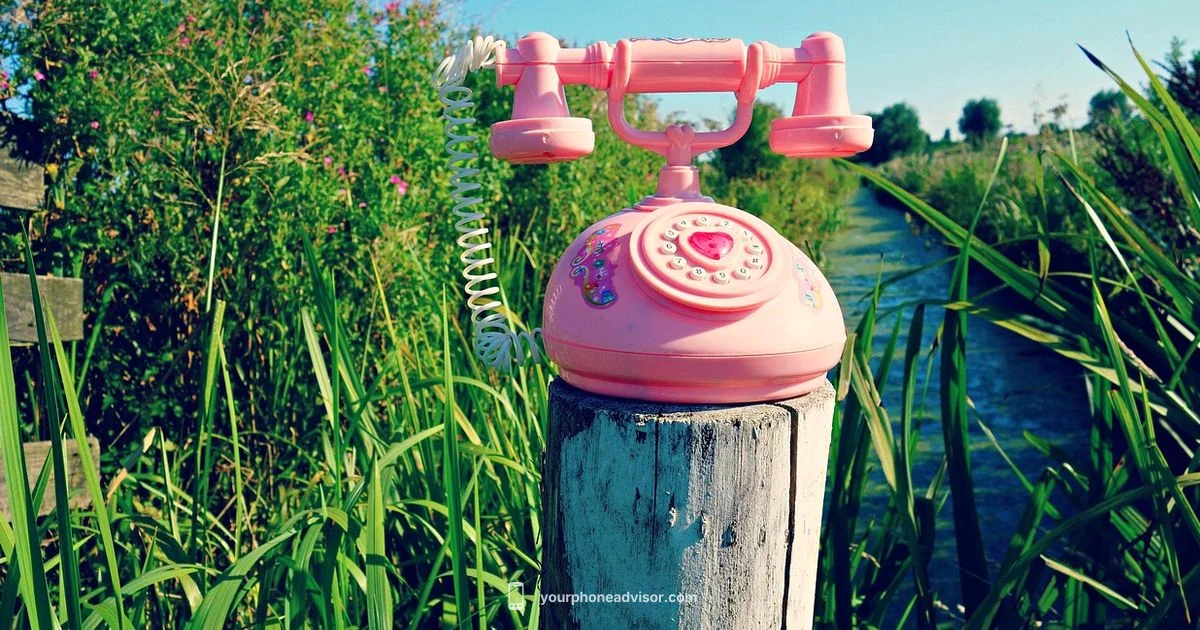 Sonny Angel Charms - Your Phone Advisor