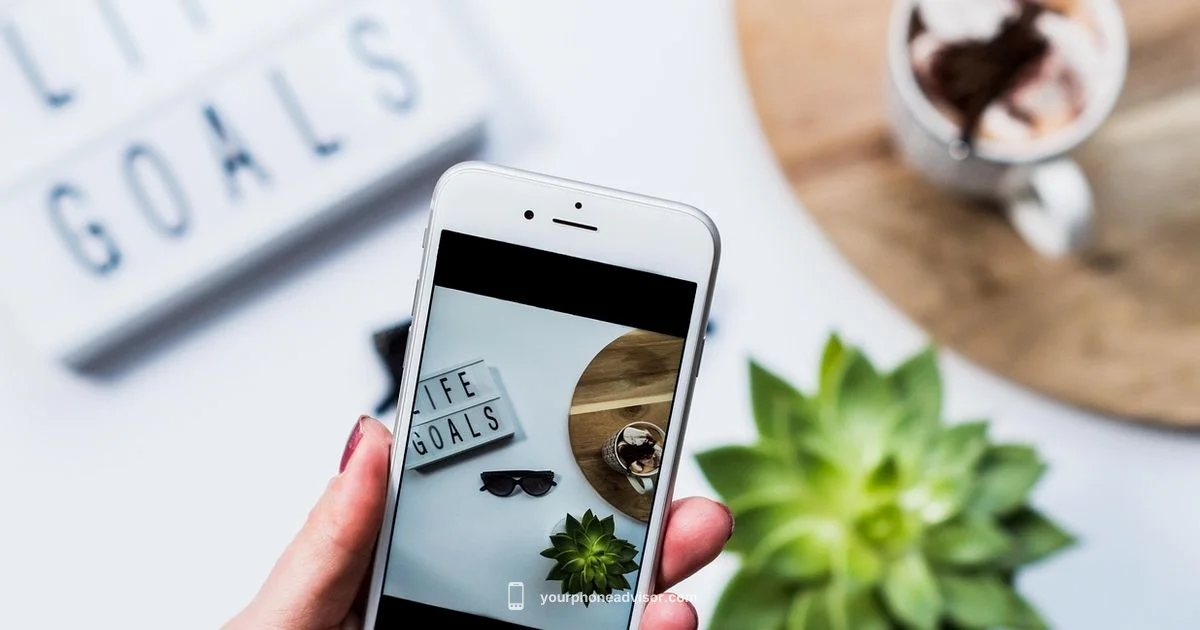 6.7-Inch Phone Size - Your Phone Advisor