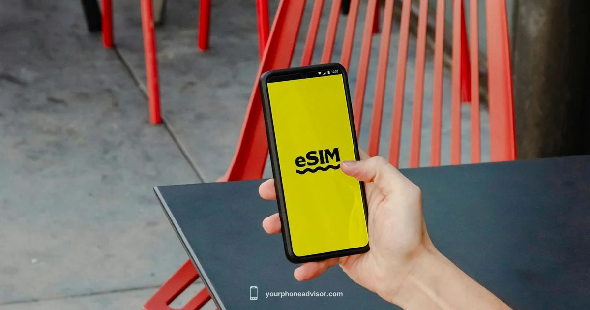Mint Plans 2026 - Your Phone Advisor