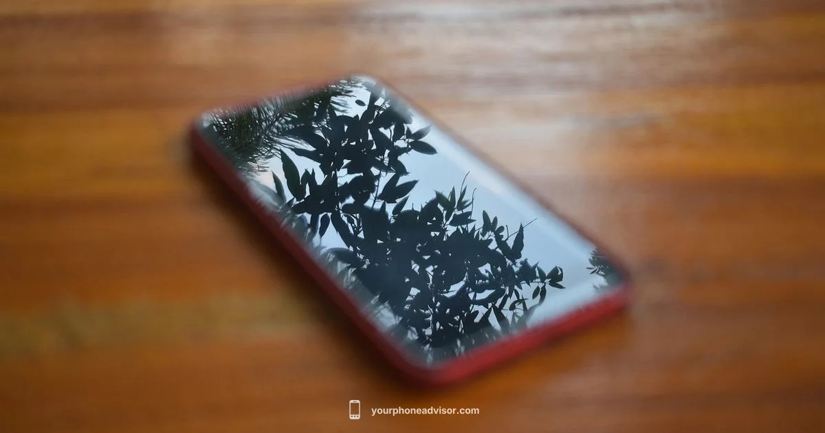 Premium Phone Guide Premium Phone Guide - Your Phone Advisor