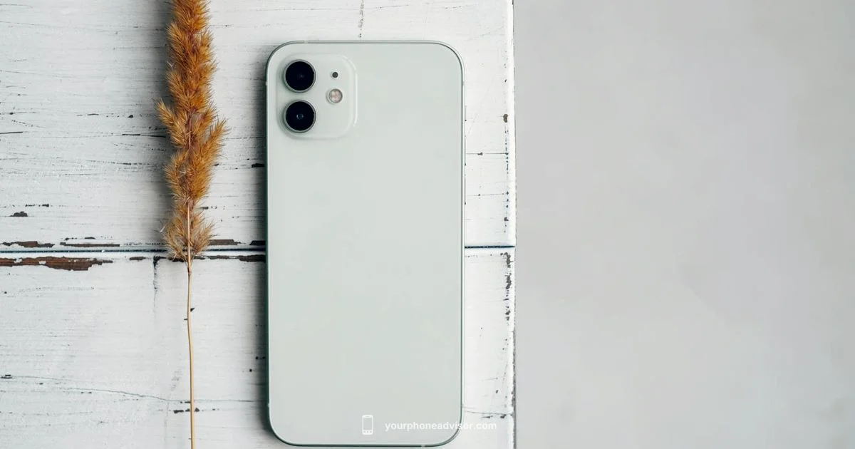 Drying a Wet Phone - Your Phone Advisor