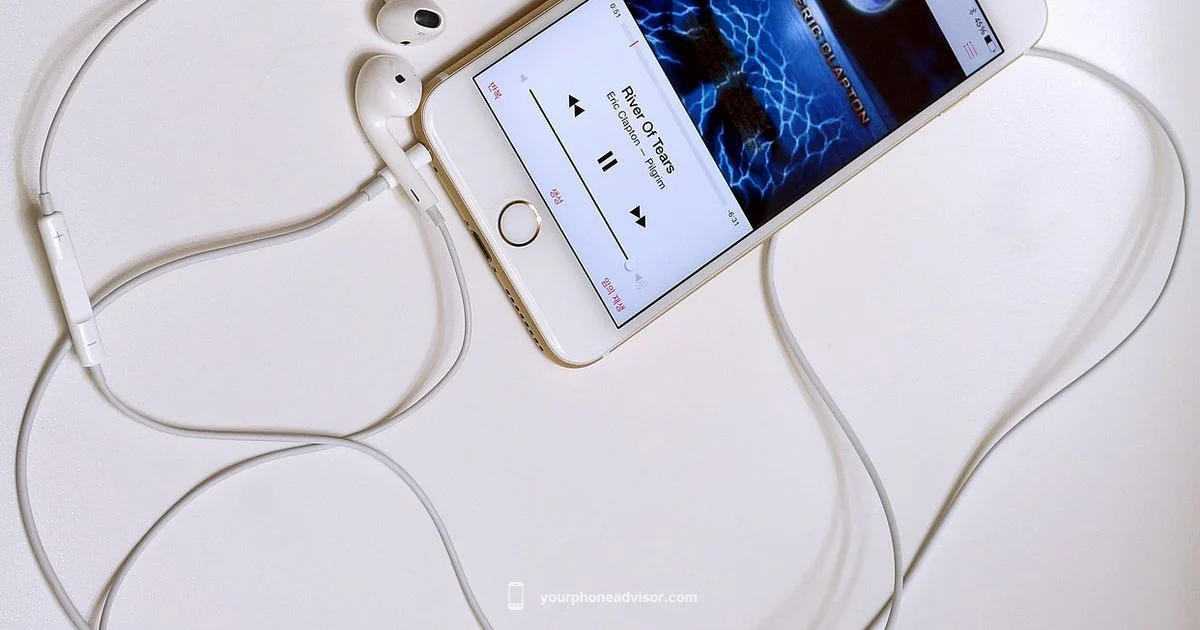 iPhone 6 Plus Overview - Your Phone Advisor