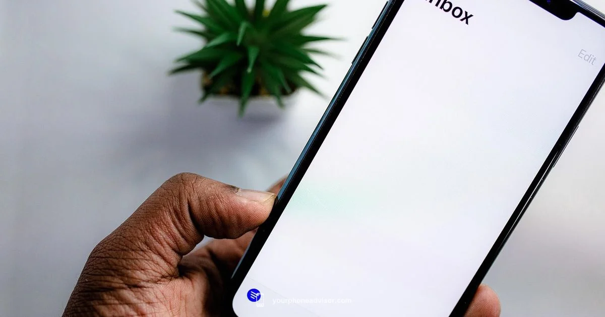 Phone Format Essentials - Your Phone Advisor
