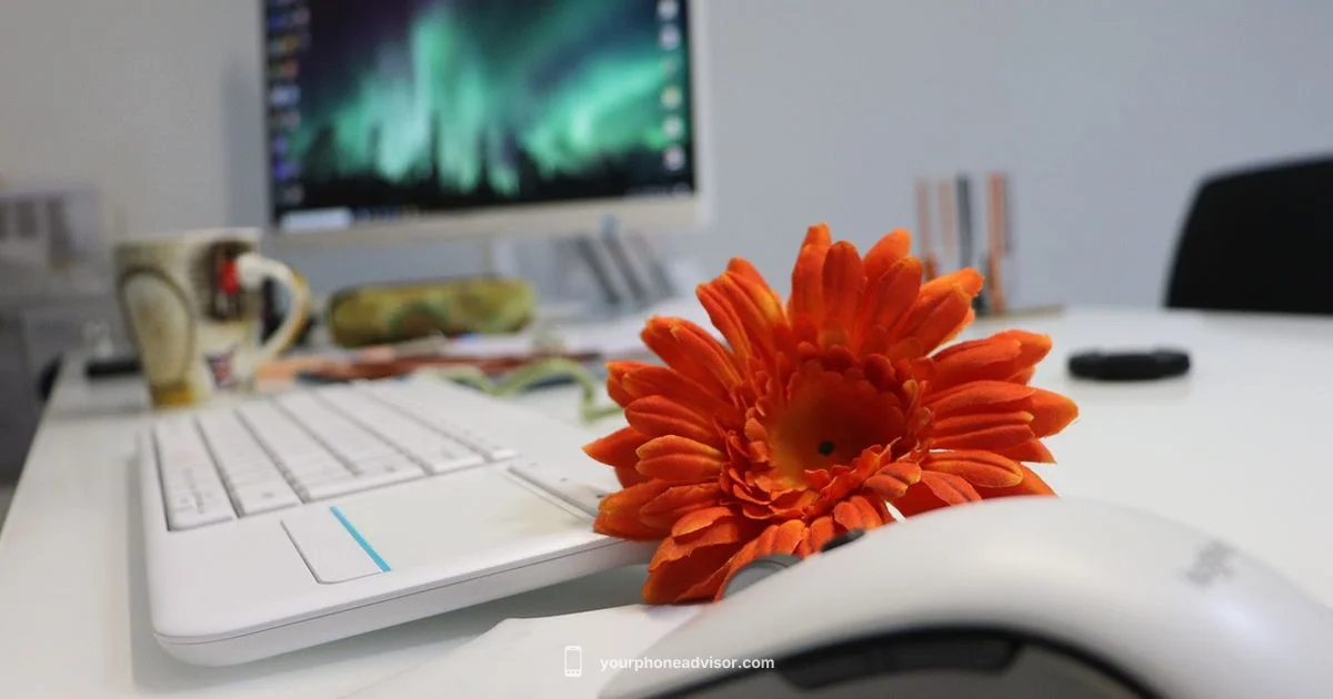 CMF 2 Pro Quick Look - Your Phone Advisor