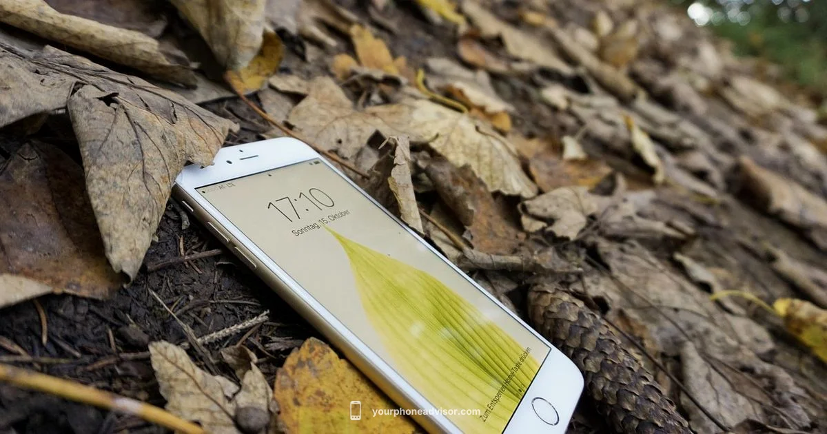 Refurbished iPhone Guide - Your Phone Advisor