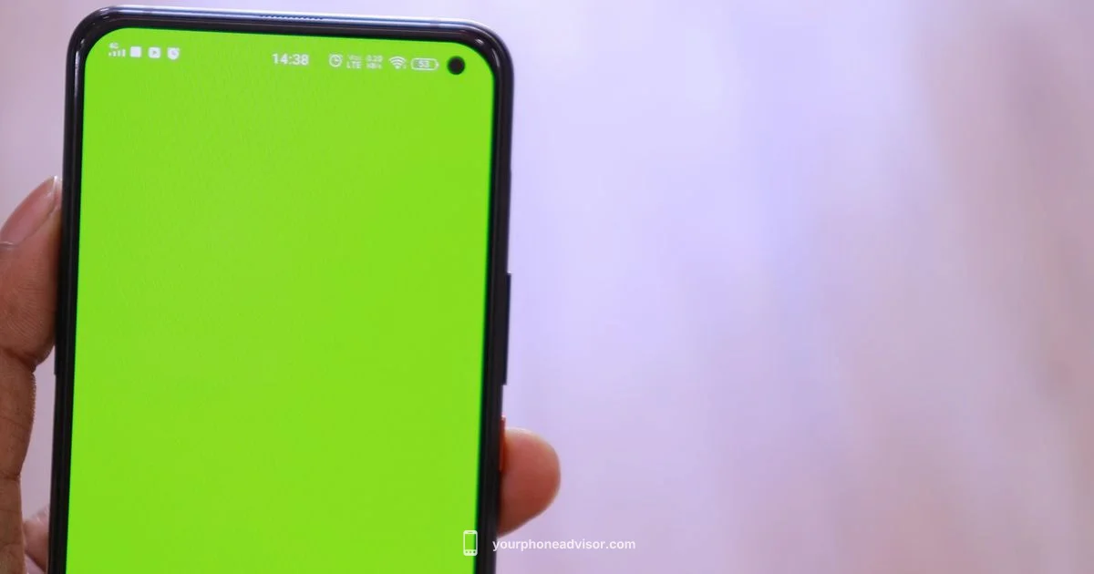 Vivo Price Guide - Your Phone Advisor