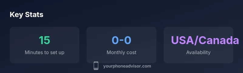 Infographic showing Google Voice number features, cost, and availability