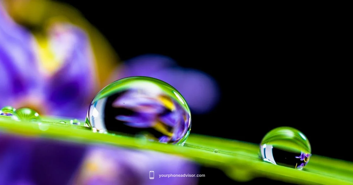 Water Damage Guide - Your Phone Advisor